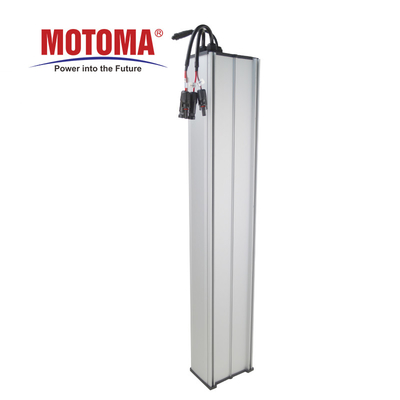 Batterie d'OEM 12V 24V 50Ah 60Ah LiFePO4 pour le réverbère solaire de LED